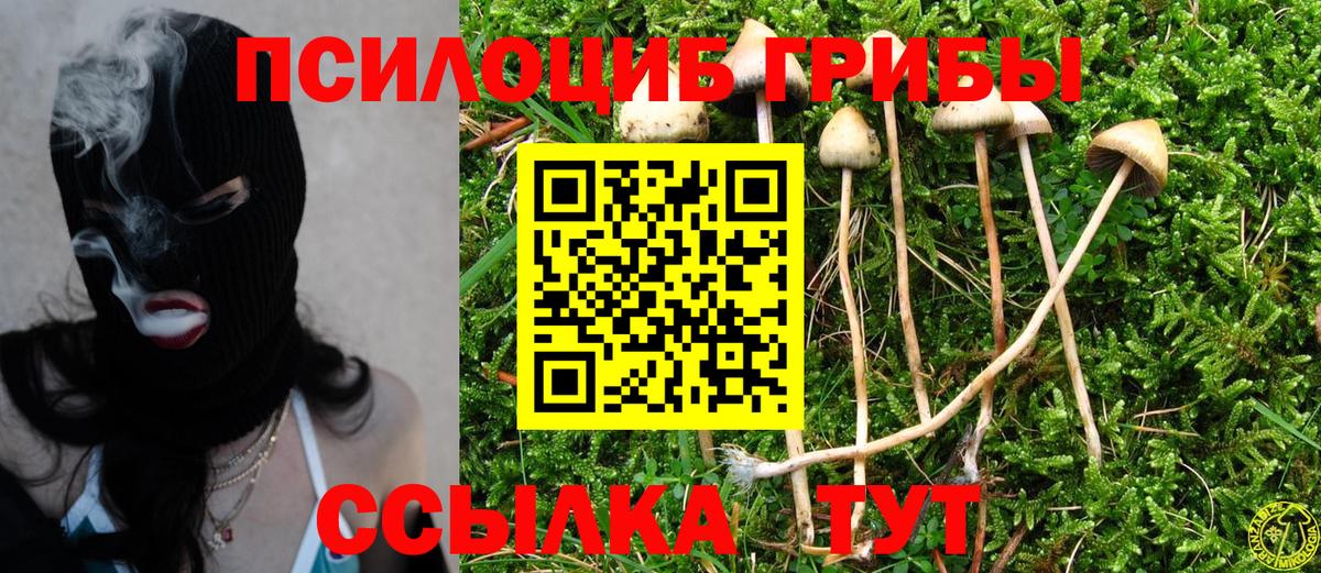 Первоуральск  Галлюциногенные грибы Cubensis  Вход с VPN  Псилоцибиновые грибы ЛСД 